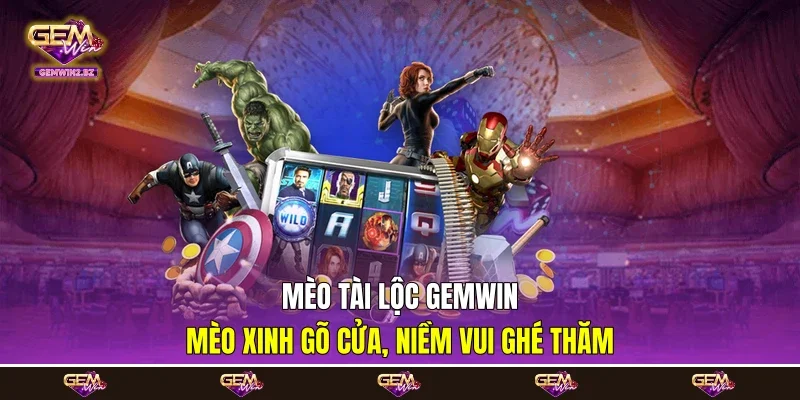 Mèo Tài Lộc Gemwin - Mèo Xinh Gõ Cửa, Niềm Vui Ghé Thăm